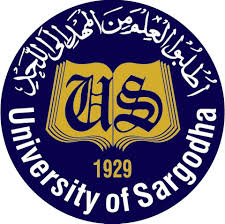 University of Sargodha Ma Roll No Slip 2024 Download By CNIC