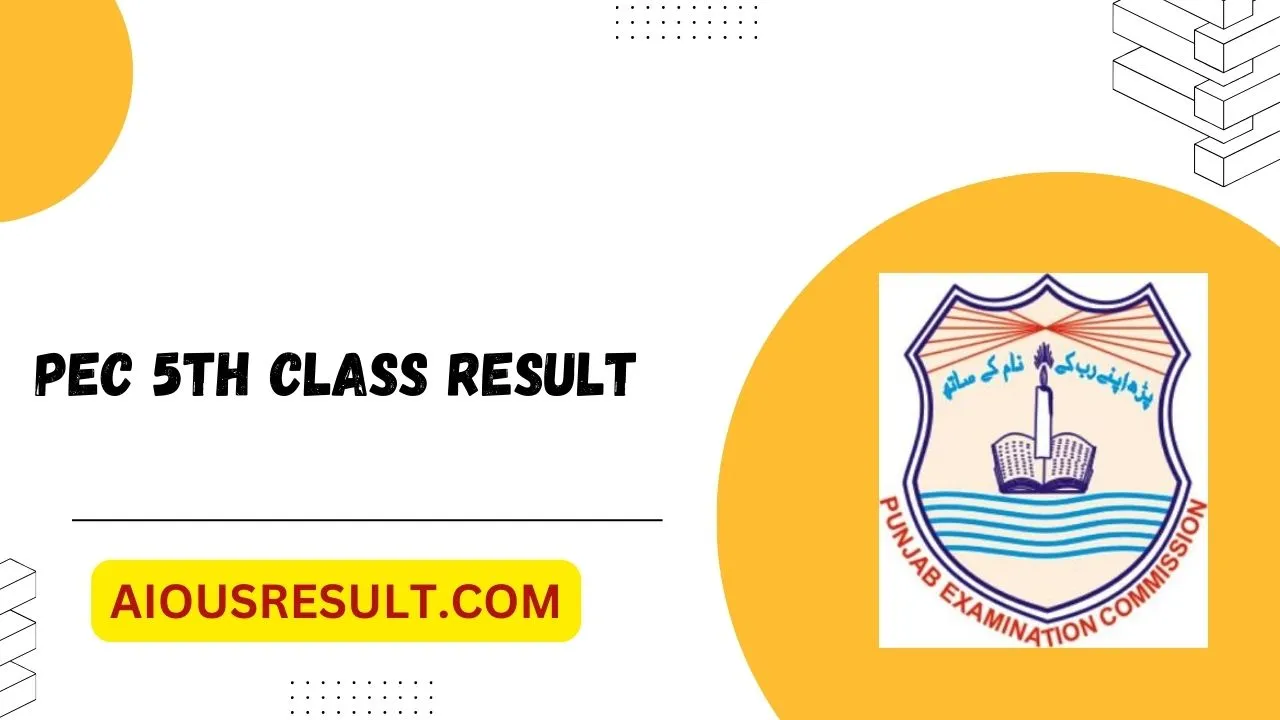 PEC 5th Class Result 2024 Punjab Link Out